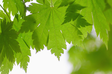 Similar image 746906