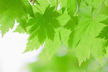 Similar image 746907