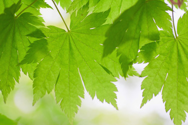 Similar image 746908