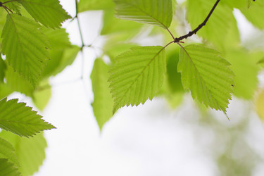 Similar image 746909