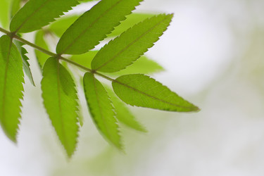 Similar image 746910