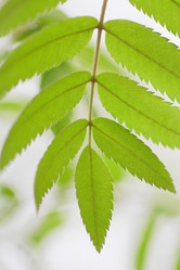 Similar image 746911