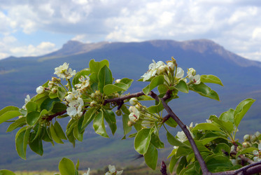 Similar image 746975