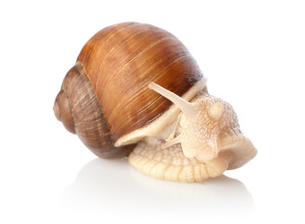 Similar image 747204