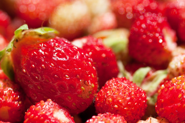 Similar image 747232