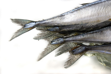 Similar image 747245