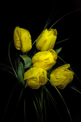 Similar image 747354