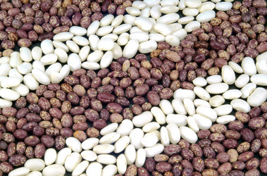 Similar image 747376