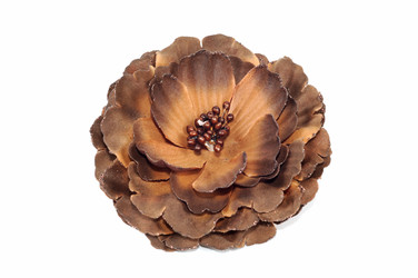 Similar image 747375