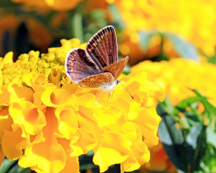 Similar image 747403