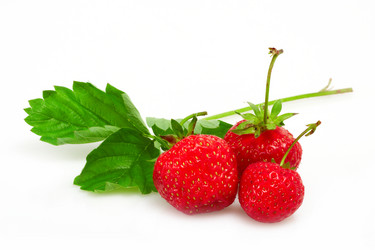 Similar image 747494