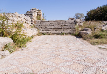 Similar image 747529