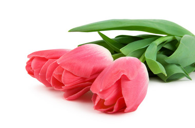 Similar image 747573