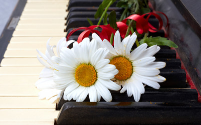 Similar image 747601