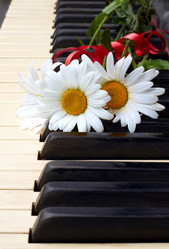 Similar image 747610