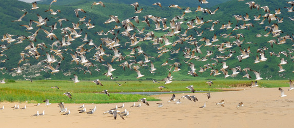 Similar image 747613