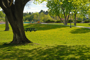 Similar image 747614