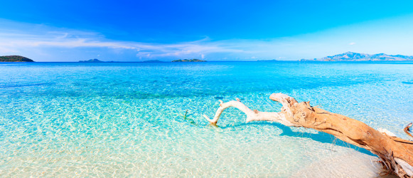 Similar image 747631