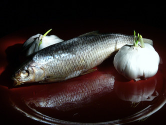 Similar image 747674