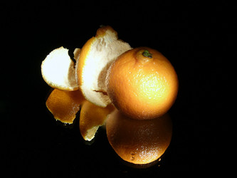 Similar image 747681