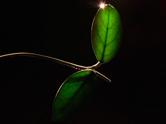 Similar image 747684