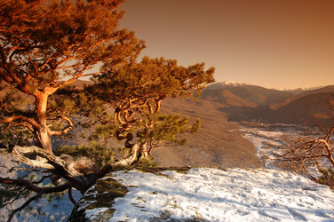 Similar image 747694