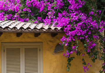 Similar image 747712