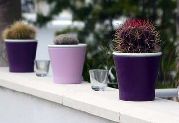 Similar image 747714