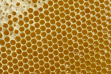 Similar image 747734