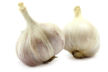 Similar image 747735