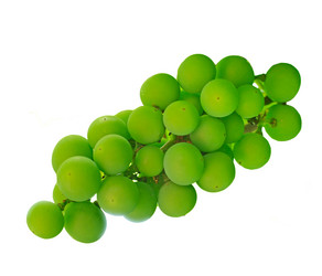 Similar image 747807