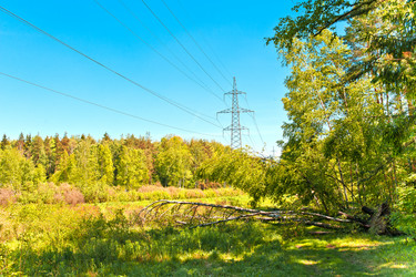 Similar image 747842