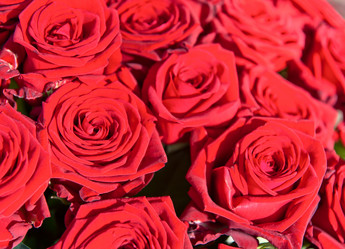 Similar image 747865