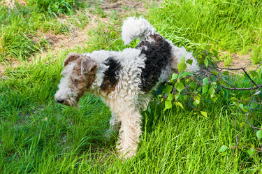 Similar image 747870