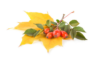 Similar image 747882