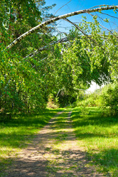 Similar image 747883