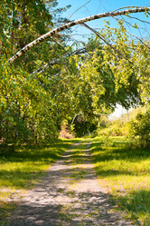 Similar image 747885