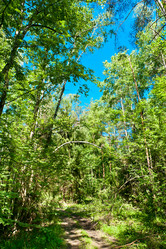 Similar image 747887