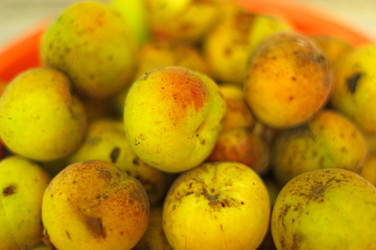 Similar image 747891