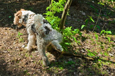 Similar image 747898