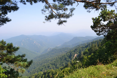 Similar image 747926