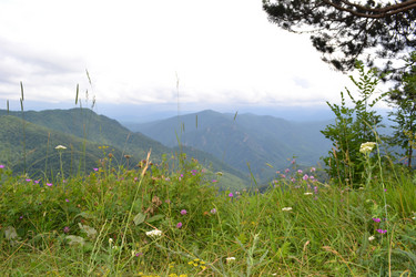 Similar image 747927