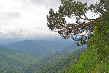 Similar image 747929