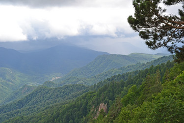 Similar image 747930