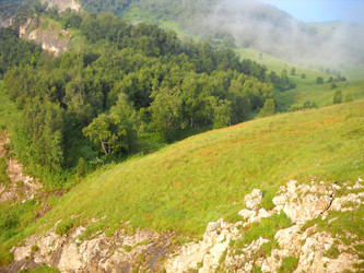 Similar image 747931