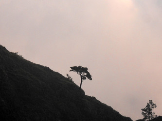 Similar image 747932