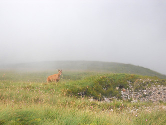 Similar image 747933