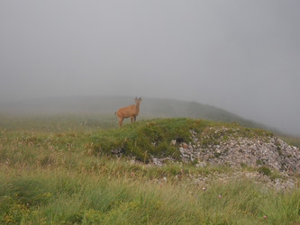 Similar image 747934