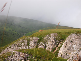 Similar image 747937