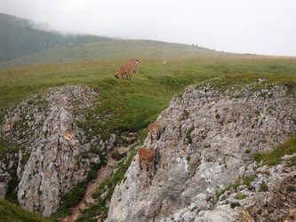 Similar image 747938